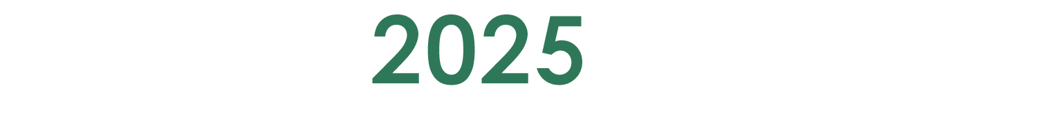 DMEMS 2025 LOGO